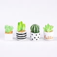 thumbnail image 3 of Cactus en maceta para interior, suculentas de escritorio, cactus en maceta pequeños, micropaisaje ecológico, adornos de bricolaje en botella, 3 of 6