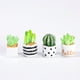 thumbnail image 3 of Cactus en maceta para interior, suculentas de escritorio, cactus en maceta pequeños, micropaisaje ecológico, adornos de bricolaje en botella, 3 of 6