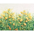 thumbnail image 2 of OToole, Tim 32x26 White Modern Wood Framed Museum Art Print Titled - Garden in Bloom III, 2 of 4