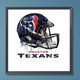 thumbnail image 1 of Cuadros Decorativos Pintura de diamante 5D DIY Taladro redondo completo Houston Texans Decoración para el hogar Wdftyju embutido en tela, 1 of 7