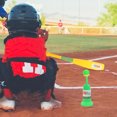 thumbnail image 2 of HAMPPLIES 1Set Baseball Bat and Balls Plastic Set Assorted Colors Designed for Safe Fun and Easy Catching, 2 of 8