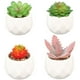 thumbnail image 1 of Plantas en maceta con formas-Decoraciones de oficina plantas en maceta Vhermosa CPB-YL619-4, 1 of 5