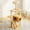 48.8" Modern Cat Tower, variant on LuckyNote 48.8" Modern Wooden Cat Tree Tower for Indoor Cats with Sisal Scratching Posts and Acrylic Hammock, Natural+White
