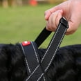 thumbnail image 7 of No Pull Dog Harness with Soft Mesh Padded, Fully Adjustable Walking Harness for Medium Large Dogs, Reflective Front Clip Harness for Training and Hiking, 7 of 7
