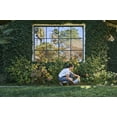 thumbnail image 2 of Sunday Ant Adios Insect & Ant Killer, 2lb Bag, 4000 sq ft, 2 of 7