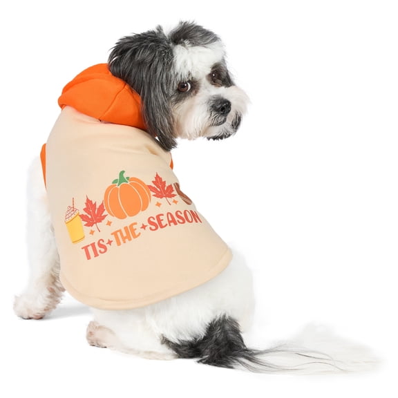 Vibrant Life Halloween Hoodie for Dogs and Cats, 'Tis the Season, Yellow and Orange, S