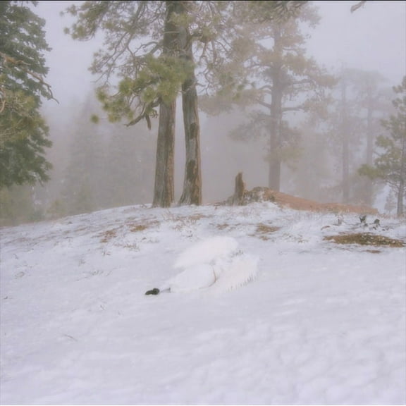 Wisp - Pandora - Music & Performance - CD