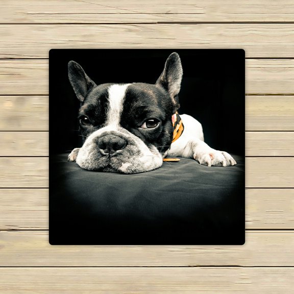 ABPHQTO Close Plane Of A French Bulldog Towels Beach Bath Pool Sprot Travel Hand Spa Towel 13x13 Inch