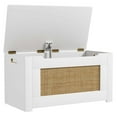 thumbnail image 1 of Costway 31.5" Toy Chest for Kids Rattan Toy Storage Box with Flip Top Lid & Safety Hinge, 1 of 10