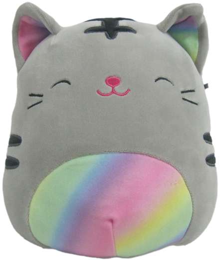 tabby cat squishmallow name