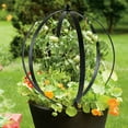 thumbnail image 2 of DÉCOR WOW Garden Orb Ornament, Large Obelisk Trellis, 27"H x 23" W, Metal, Black, 2 of 7