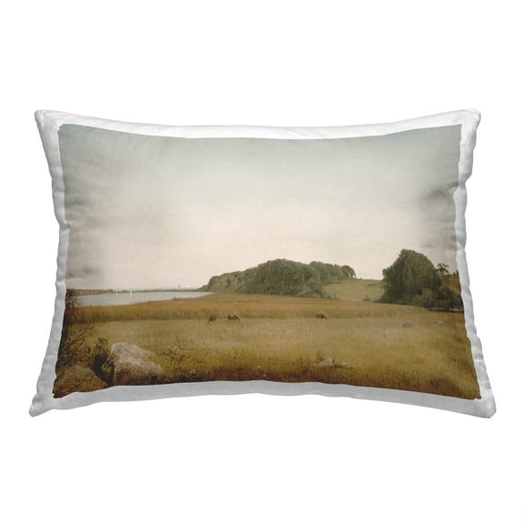 Stupell Industries Rural Field with River Decorative Printed Throw Pillow, 14 x 20