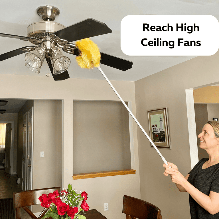 Duster To Clean Ceiling Fans Shelly Lighting