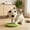 E, variant on Soccer Ball Cat Scratching Post, Spring Wobble Sisal Cat Toy, Football-Shaped Cat Scratcher with Plush Base for Indoor Cats to Scratch, Bat and Relieve Boredom