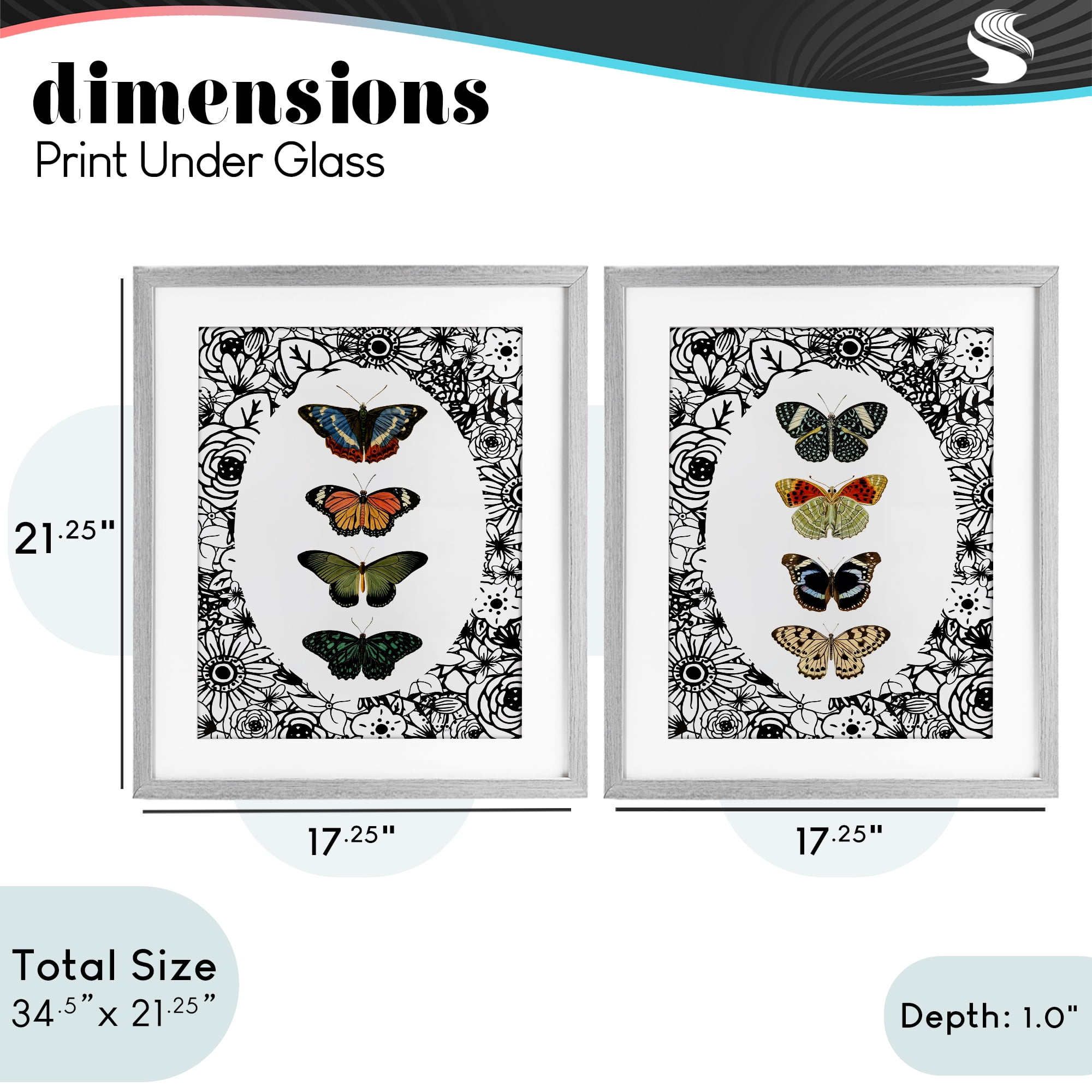 Stupell Industries Floral Butterflies Lineup 2 Piece Gray Framed Print Under Glass Set, design by Dan Meneely