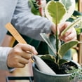 thumbnail image 3 of Troglfold mini shovels Stainless Steel Garden Spade with Wood Handle for Transplanting and Cultivating,12.2"X2.13"X0.98", 3 of 11