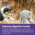 thumbnail image 4 of PRN Pharmacal ProZyme Original Formula Enzyme Replacement Supplement - Reinforces Animal's Digestive System, Supports Dog & Cat Food Breakdown - Promotes Pet's Digestive Health - 85 g, 3 oz Bottle, 4 of 7