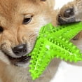 thumbnail image 4 of STARTIST Star Shape Dog Toothbrush Squeaky Chew Toy | Pet Teeth Cleaning Stick | Dog Oral Green, 4 of 8