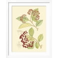 thumbnail image 2 of Art.com Berries & Blossoms II Art Print by Curtis, White Frame Wall Art, 32" x 40", 2 of 4
