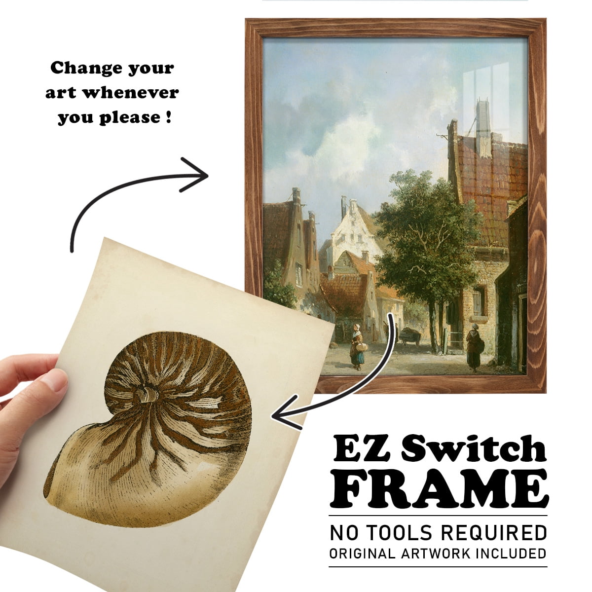 Sealife Collection V - Framed Print w/glass - Walnut
