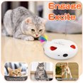thumbnail image 4 of Gmdisc Interactive Cat Toys for Indoor Cats, Toys Moving Feathers for Pet Cat,USB Rechargeable Electronic Kitten Toys(White), 4 of 7