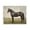 Espresso Horse Pastoral Field, variant on Stupell Industries Distressed Horse Portrait Canvas Wall Art, design by Petal Prints Design