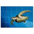 thumbnail image 1 of Turtle Photo Ceramic Tile Mural Kitchen Backsplash Bathroom Shower, 406061-M64, 1 of 3