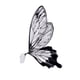 thumbnail image 1 of Xiao Hua Regalos, flores, papel de embalaje para caja de regalo, papel de embalaje de flores con alas de mariposa transparentes e impermeables (negro), 1 of 5