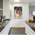 thumbnail image 4 of Epic Art 'Blushing Mandrill' by Robert Campbell, Acrylic Glass Wall Art, 24"x36", 4 of 8