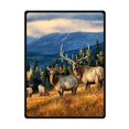 thumbnail image 1 of RYLABLUE True Love Beautiful Elk Fleece Throw Blanket 58x80 inches, 1 of 1