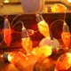 thumbnail image 4 of Luces de cadena LED Ganfancp de Bombilla Arce, 4 of 7