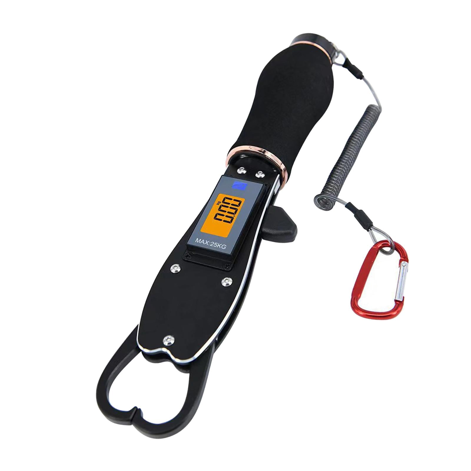Fish Gripper for Fishing, Fish Holder with Electronic Scale, Fishing Gear Gift, Fish Control Tackle, Fish Lip Grip Tool, Fish Lip Grabber