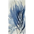thumbnail image 2 of Miller, Melonie 9x14 White Modern Wood Framed Museum Art Print Titled - Sea Nature in Blue I, 2 of 4