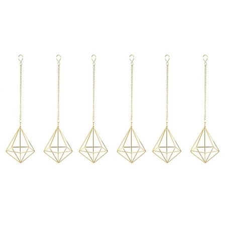 6 Pcs Nordic Style Hanging Tillandsia Air Plants Rack Holder