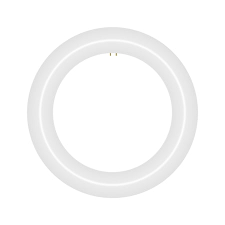 NYLL 8 inch T9 Circline Type A Plug & Play LED Lamp, Daylight (6000K) Direct Replacement for 22W FC8T9/D (Without Rewiring or Modification) Ballast Required!