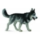 thumbnail image 3 of Figura de juguete de Husky siberiano de CollectA Dogs & Cats, 3 of 3