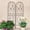Black Butterfly, variant on 4 Pack Metal Garden Trellis 71" x 19.7" Rustproof Trellis for Climbing Plants Outdoor Flower Support Dragonfly Deco Black