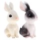 thumbnail image 3 of Cute Cartoon Rabbit Piggy Saving de cumpleaños para - , 10.5x13.5x21cm Blanco Yotijar Rabbit Money Bank, 3 of 10