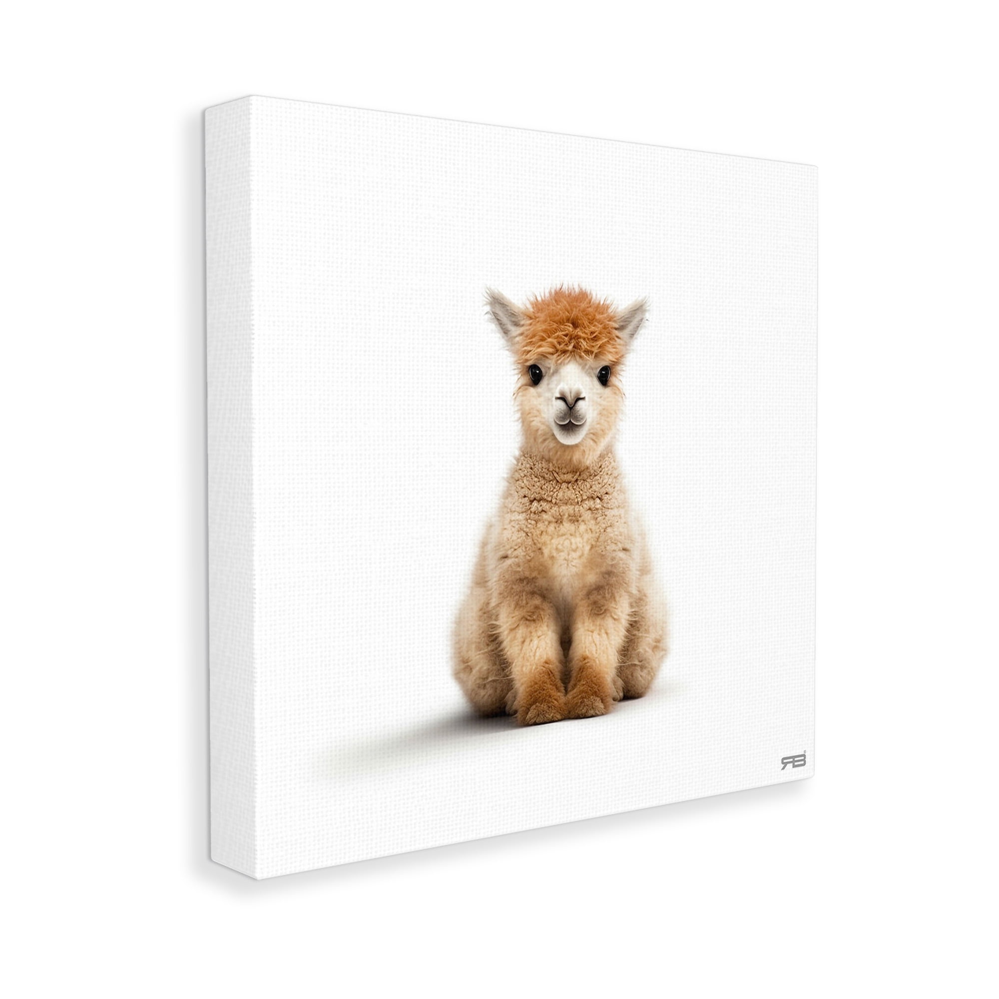 Stupell Industries Baby Alpaca Portrait Animals & Insects Painting Gallery Wrapped Canvas Art Print Wall Art, 36 x 36