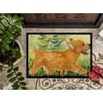 thumbnail image 3 of Carolines Treasures SS8884MAT Paillasson Intérieur Extérieur 18 x 27 Po. Norwich Terrier, 3 of 4