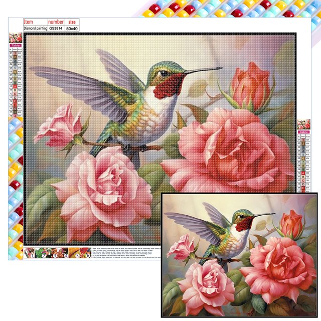 5D DIY Cuentas Cuadradas Completas Colibrí Del 50x40cm