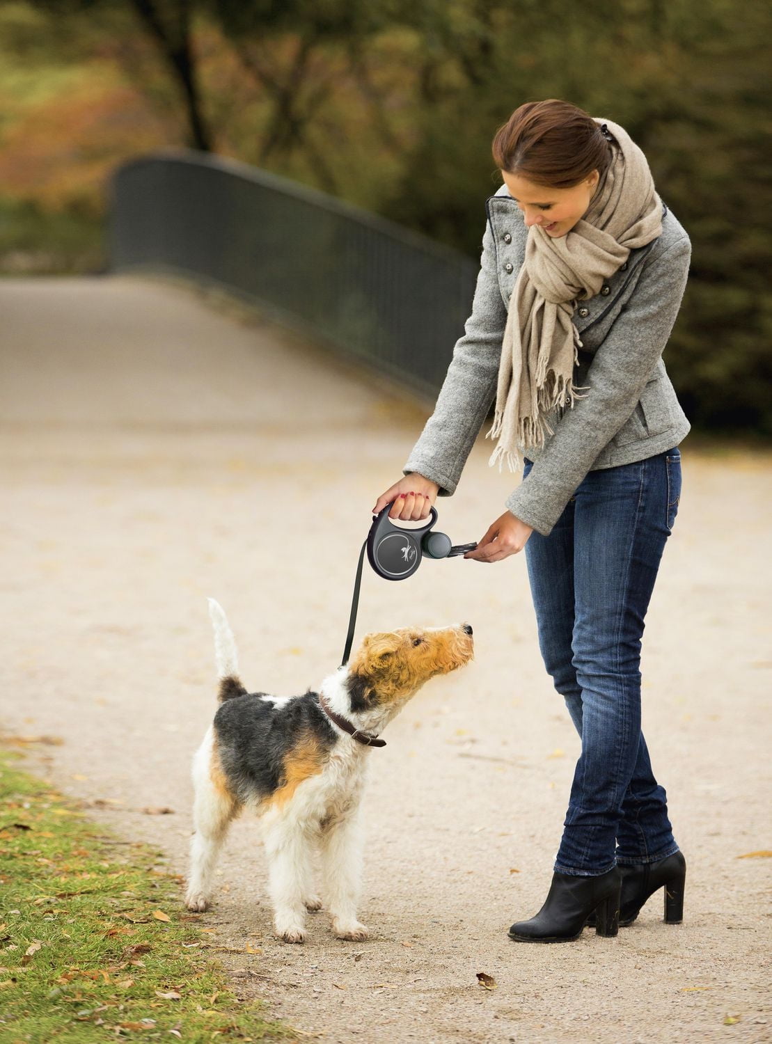 Flexi FUN Large 5m Tape Retractable Dog Leash