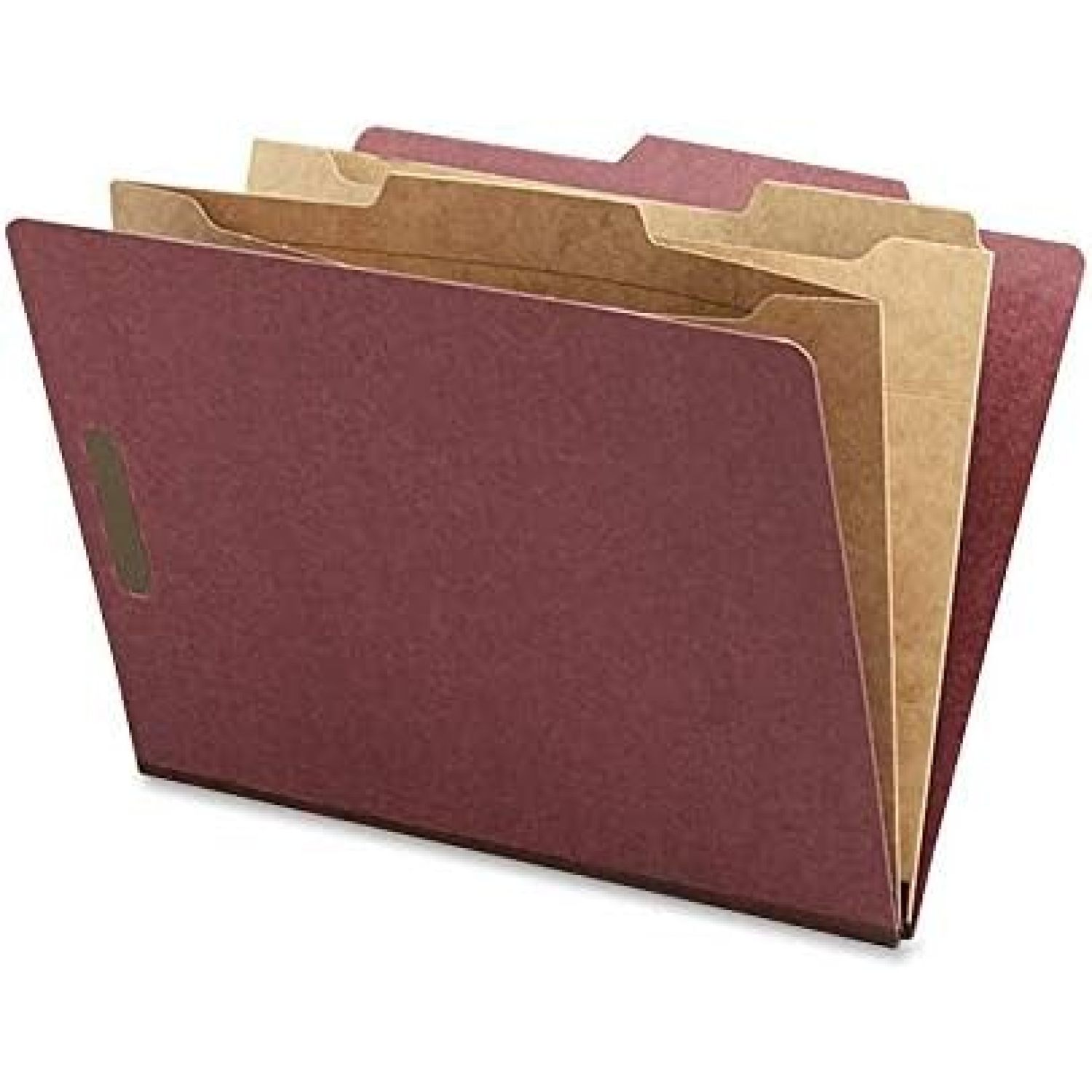 NAT95012 CYQUIO Classification Folder with Pocket Divider