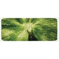 thumbnail image 1 of Forest Kitchen Mat, Nature Woodland Scene of a Giant Tree Spring Branches and Sunbeams Photo, Plush Decorative Kitchen Mat with Non Slip Backing, 47" X 19", Green and Dark Green, by Ambesonne, 1 of 1