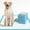 30 Count, variant on IMMCUTE Dog Pee Pads Extra Large 28"x34", X-Large Training Puppy Pee Pads Super Absorbent & Leak-Proof, XL Disposable Pet Piddle Pad and Potty Pads for Dogs, Puppies, Doggie (XLarge:28"*34"-40 Ct)