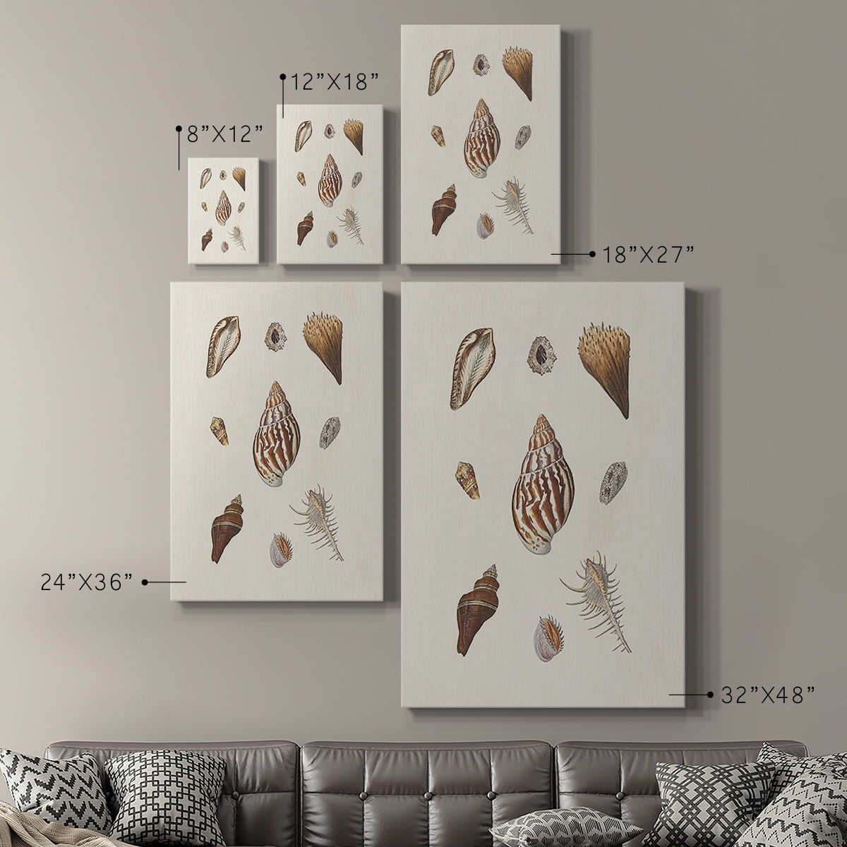 Knorr Shells & Coral IX Premium Gallery Wrapped Canvas - Ready to Hang