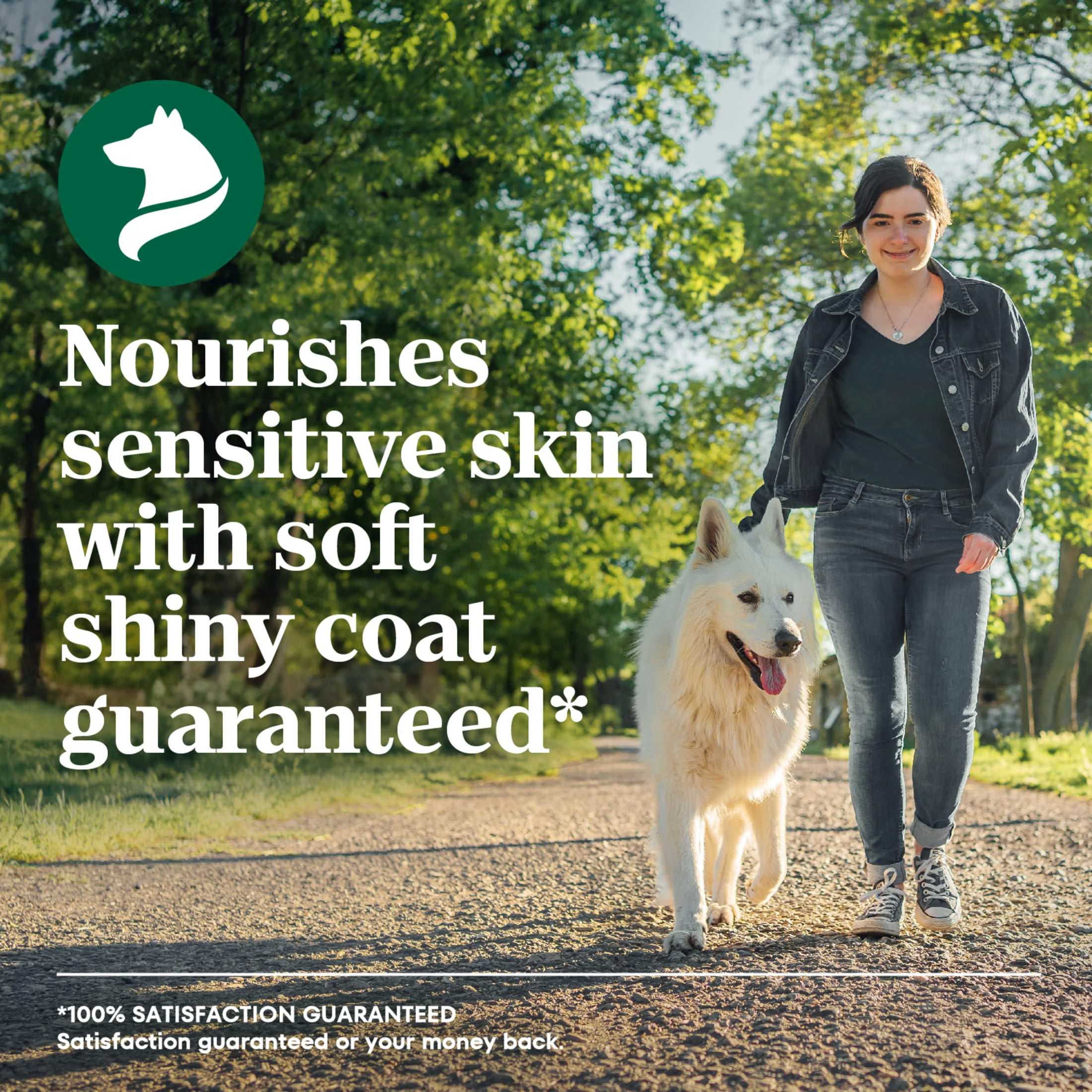 NUTRO Limited Ingredient Diet Adult Large Breed Dry Dog Food Lamb & Sweet Potato, 22 lb. Bag