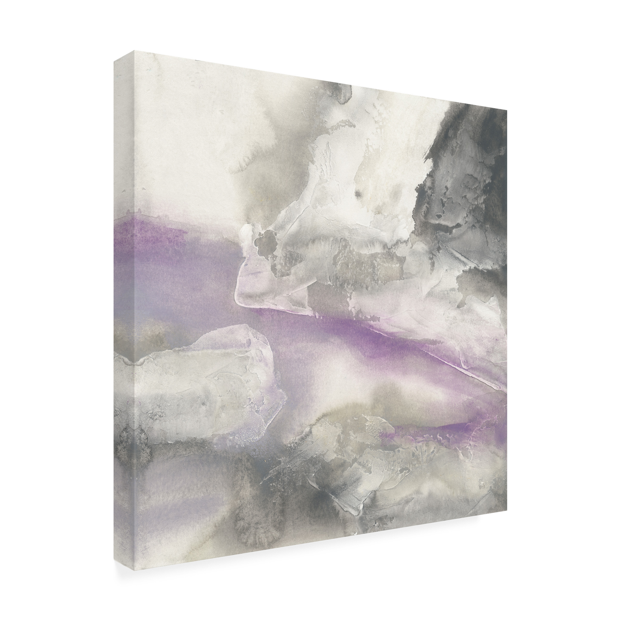 Trademark Fine Art 'Shades of Amethyst II' Canvas Art by Chris Paschke