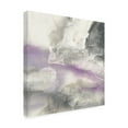 thumbnail image 4 of Trademark Fine Art 'Shades of Amethyst II' Canvas Art by Chris Paschke, 4 of 4