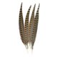 thumbnail image 1 of Touch Of Ringneck Pheasant Feathers 4/pcs, Natural, 1 of 2
